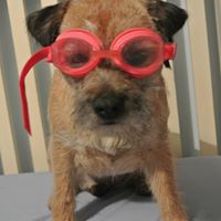 Janet Drummond Photo 4