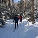 Bruce Shay Photo 18