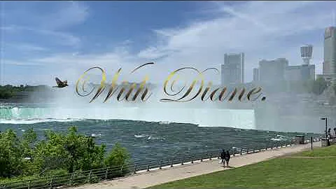 Diane Mcnamara Photo 27