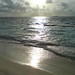 Sarah Fodor Photo 12