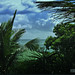Thomas Palm Photo 30