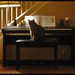 Betty Mulder Photo 20