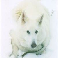 Anne Prather Photo 6