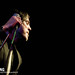 Phillip Fitzpatrick Photo 26