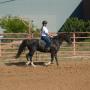 Traci Sherman Photo 19