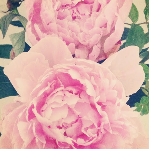 Laura Bergin Photo 12