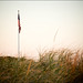 Laurie Cook Photo 44