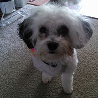 Kim Mowery Photo 4