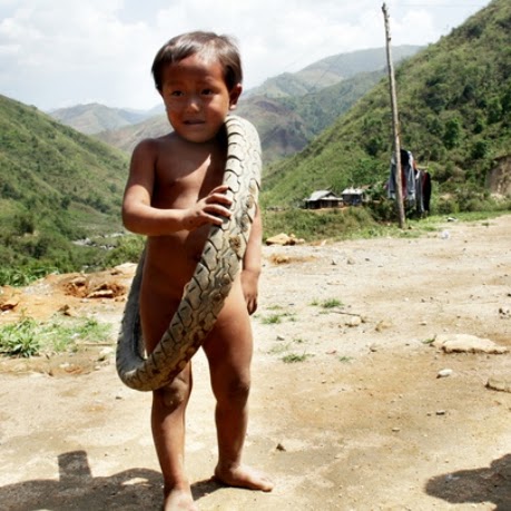 Son Hoang Photo 8