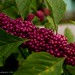 Trista Rose Photo 22