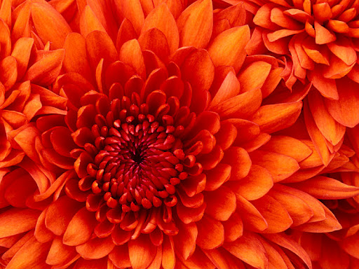Sumit Sharma Photo 12