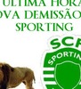 Henrique Duarte Photo 20