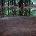 Tommy Rains Photo 20