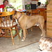 Gary Tyson Photo 35