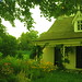 Alice Austin Photo 41