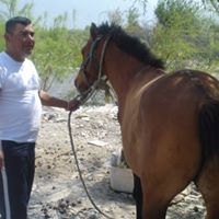 Jose Mares Photo 3