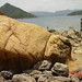 Vicky Ng Photo 33