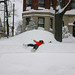 Ryan Blizzard Photo 27