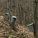 Judy Maples Photo 32
