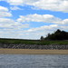 Sandy Dell Photo 33
