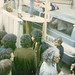 Jerry Bloomfield Photo 14