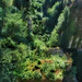 Ferris Mills Photo 14
