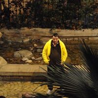 Donny Ross Photo 3