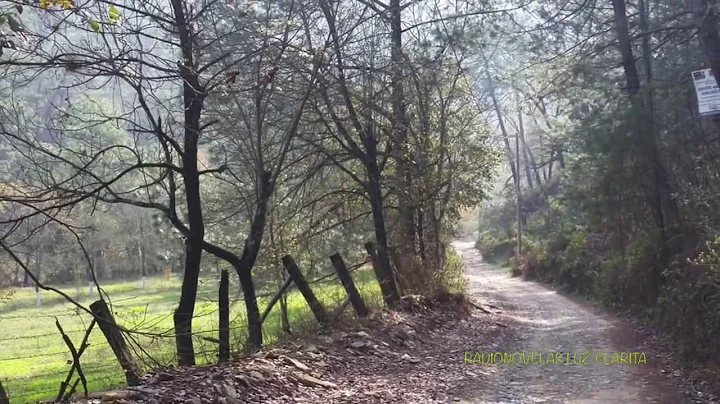 Porfirio Sierra Photo 7