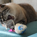 Isabelle Mills Photo 24