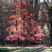 Joyce Neighbors Photo 18