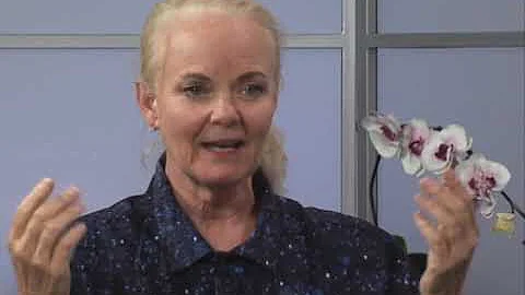 Susan Harder Photo 27