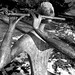 Karl Frisch Photo 29