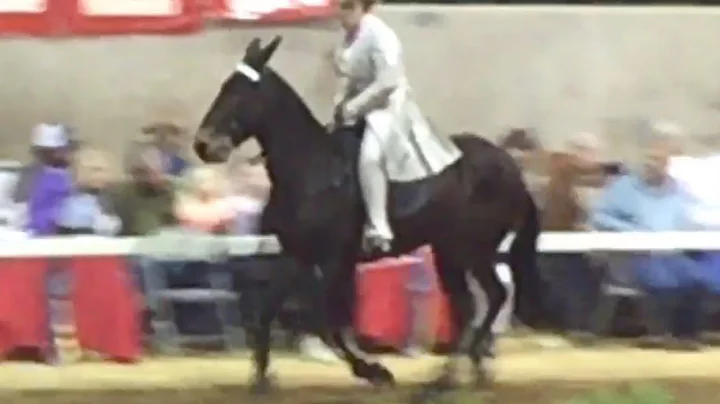 Kimberly Hermanson Photo 12