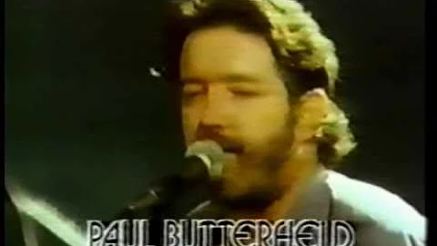 David Butterfield Photo 35