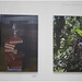 Patricia Toscano Photo 33