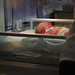 Ryan Bott Photo 31