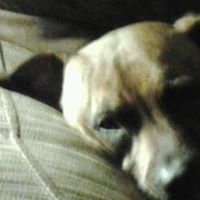 Bobby Carney Photo 7