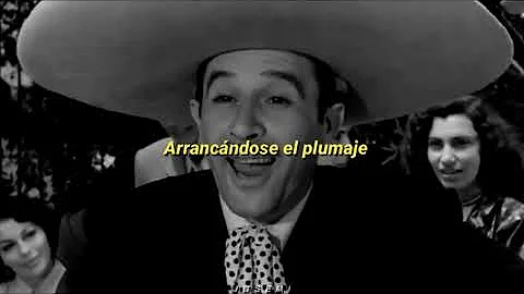 Pedro Bueno Photo 31