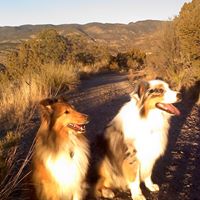 Cynthia Blanton Photo 8