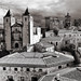 Javier Palacios Photo 37