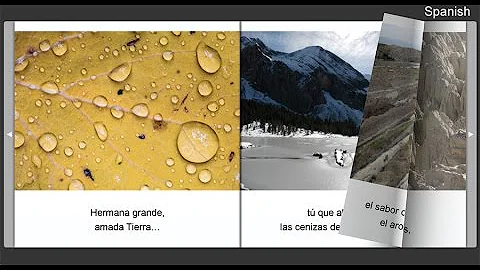 Ana Fuertes Photo 17