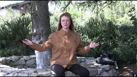 Veronica Gregg Photo 12