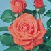 Rose Stern Photo 22