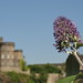 Michael Calton Photo 29
