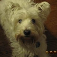 Mollie Spencer Photo 1