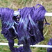 Jo Dye Photo 21