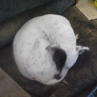 Kimberly Bridgers Photo 2