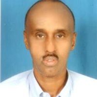 Omar Nur Photo 4