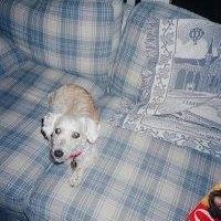 Barbara Taggart Photo 8
