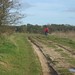 Scott Ridgeway Photo 31